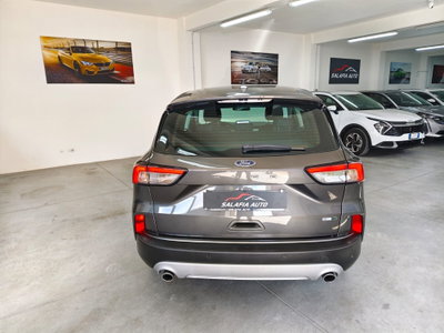Ford Kuga 2.0 EcoBlue Hybrid 150 CV 2WD (7)