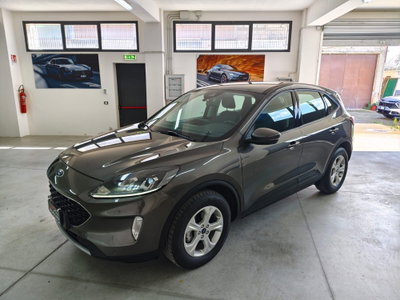 Ford Kuga 2.0 EcoBlue Hybrid 150 CV 2WD (8)