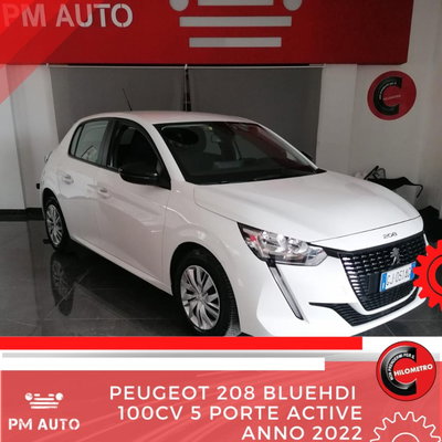 Peugeot 208 BlueHDi 100 Stop&Start 5 porte Active usata