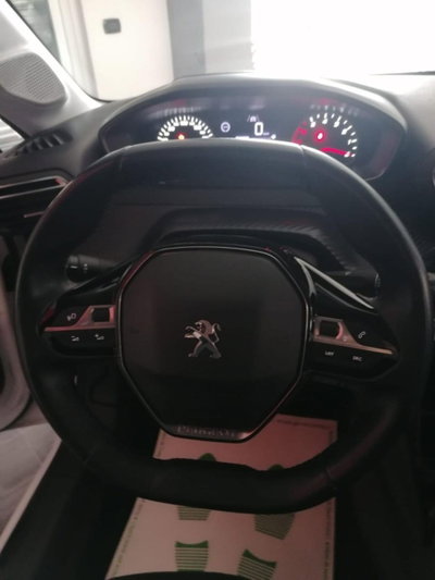 Peugeot 208 BlueHDi 100 Stop&Start 5 porte Active (12)