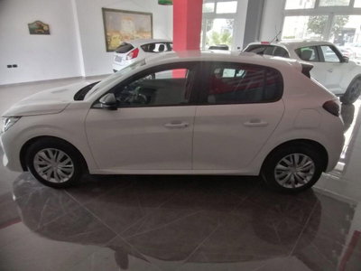 Peugeot 208 BlueHDi 100 Stop&Start 5 porte Active (5)
