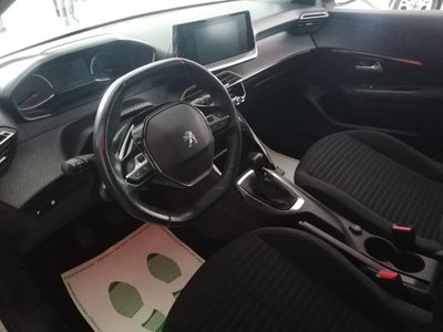 Peugeot 208 BlueHDi 100 Stop&Start 5 porte Active (8)