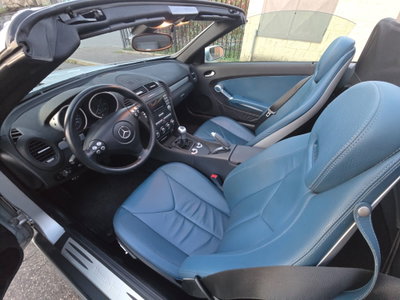 Mercedes-Benz SLK 200 Kompressor cat (10)