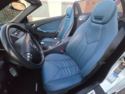 Mercedes-Benz SLK 200 Kompressor cat (11)