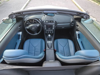 Mercedes-Benz SLK 200 Kompressor cat (12)