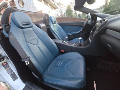Mercedes-Benz SLK 200 Kompressor cat (16)