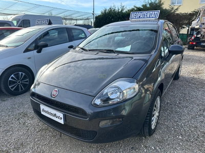 Fiat Punto 1.2 8V 5 porte Street (3)