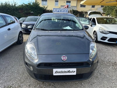 Fiat Punto 1.2 8V 5 porte Street (4)
