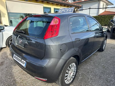 Fiat Punto 1.2 8V 5 porte Street (6)