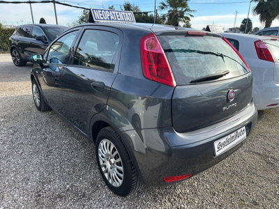 Fiat Punto 1.2 8V 5 porte Street (7)