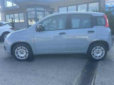 Fiat Panda 1.2 Easy (3)