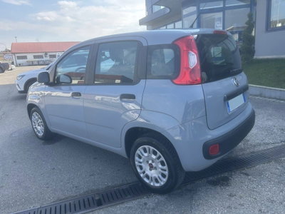 Fiat Panda 1.2 Easy (4)