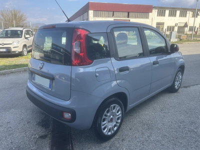 Fiat Panda 1.2 Easy (5)