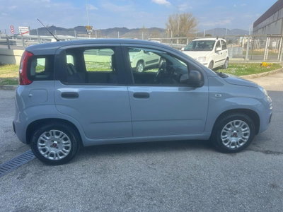 Fiat Panda 1.2 Easy (6)