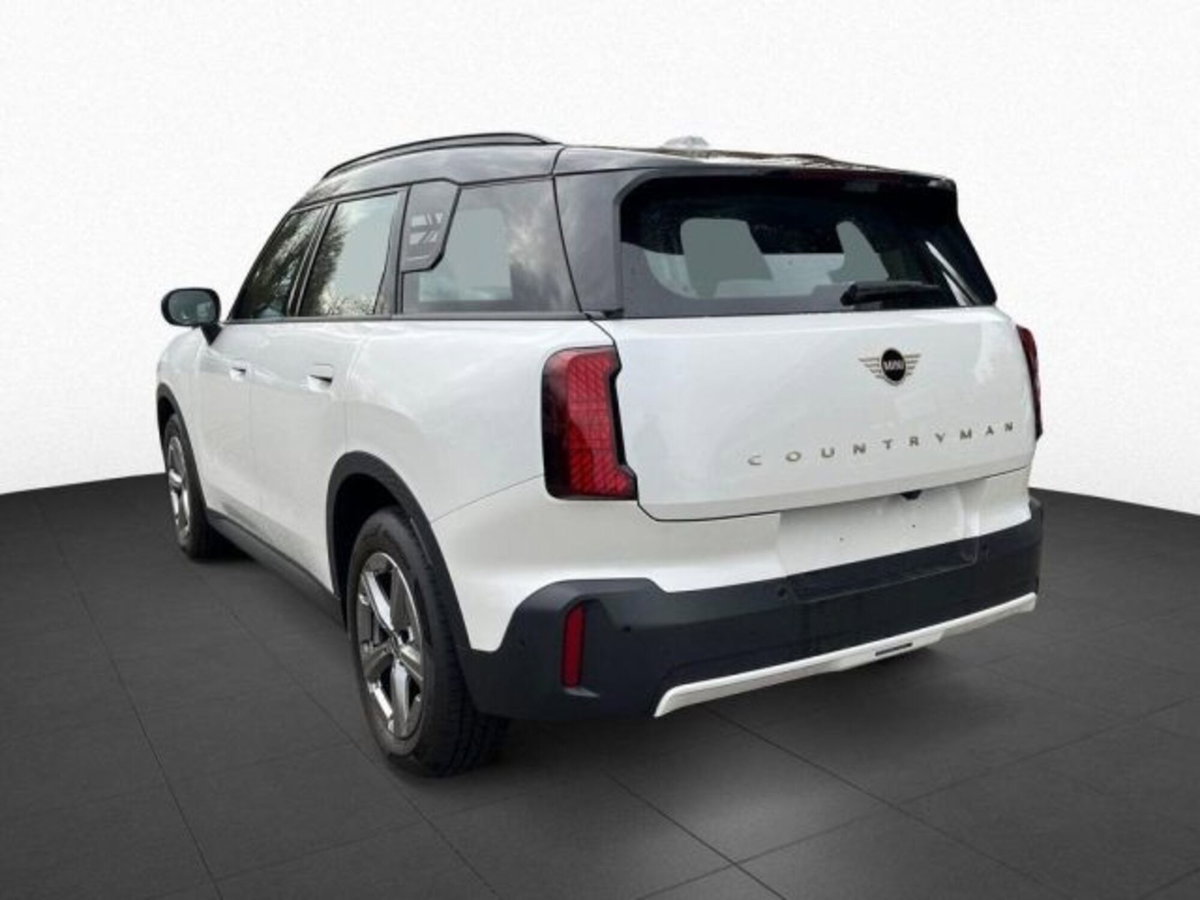 MINI Mini Countryman 2.0 Cooper D Business Countryman (4)