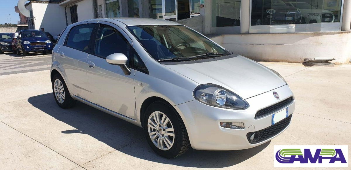 Fiat Punto 1.3 MJT II 75 CV 5 porte Lounge (3)