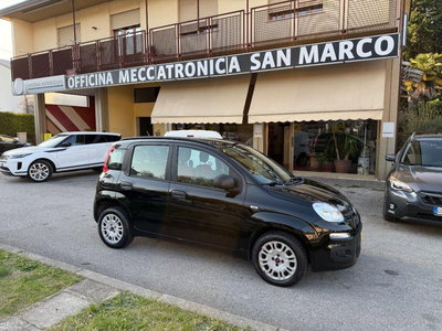 Fiat Panda 1.2 Pop usata
