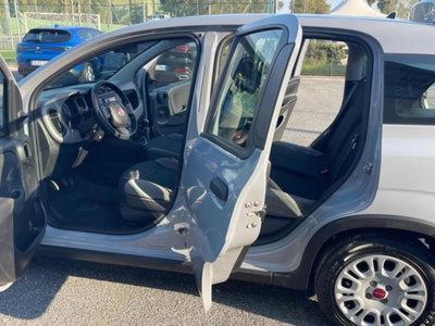 Fiat Panda 1.0 firefly hybrid s&s 70cv 5p.ti (14)