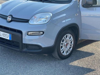 Fiat Panda 1.0 firefly hybrid s&s 70cv 5p.ti (9)