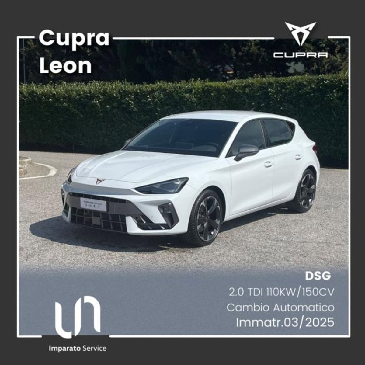 Cupra Leon Leon 2.0 tdi 150cv dsg