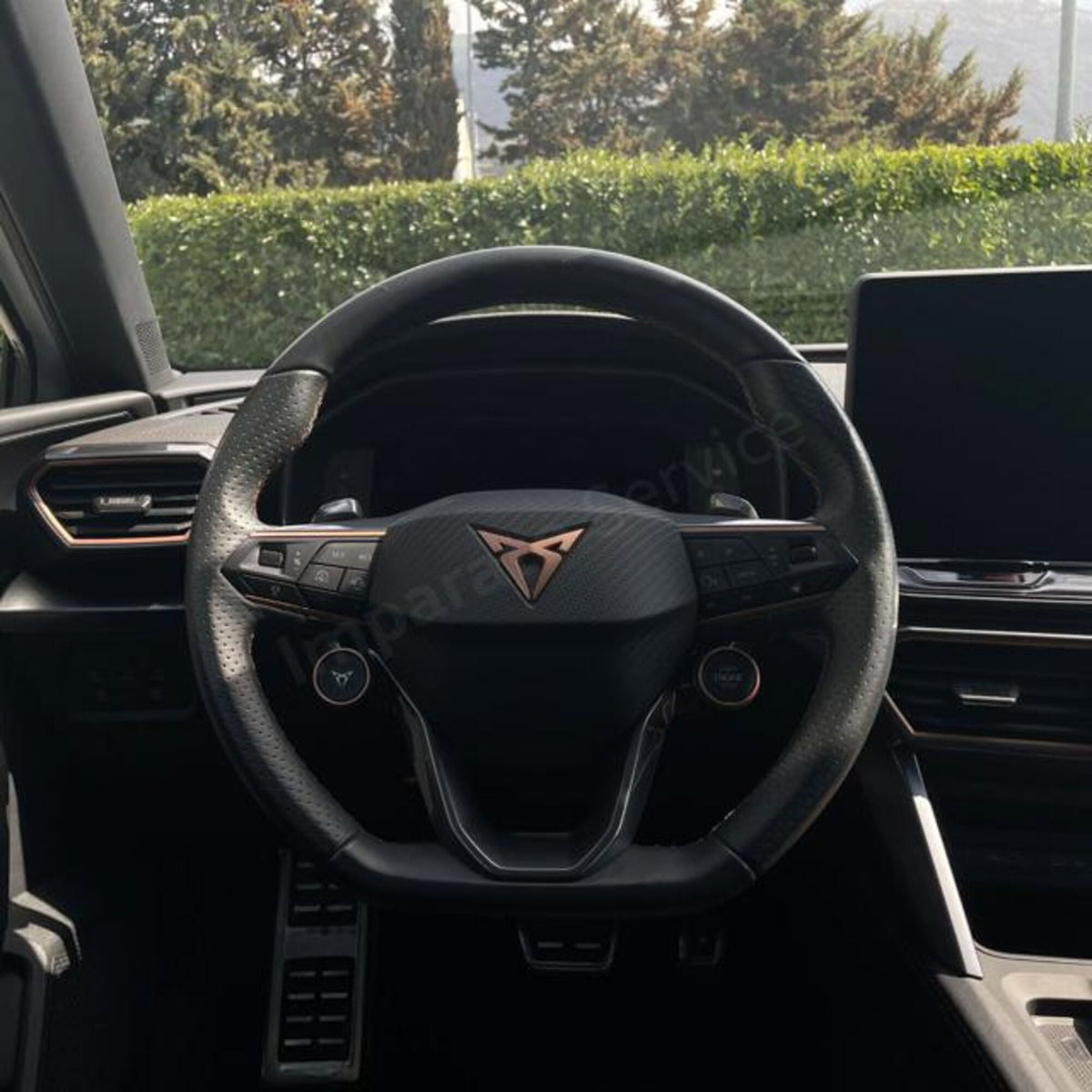 Cupra Leon Leon 2.0 tdi 150cv dsg (14)