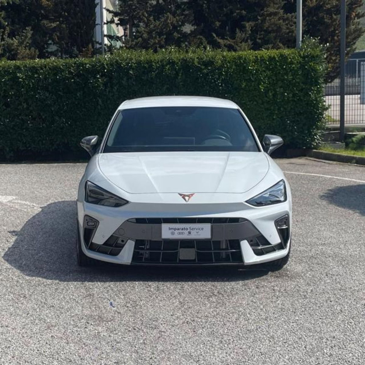 Cupra Leon Leon 2.0 tdi 150cv dsg (2)