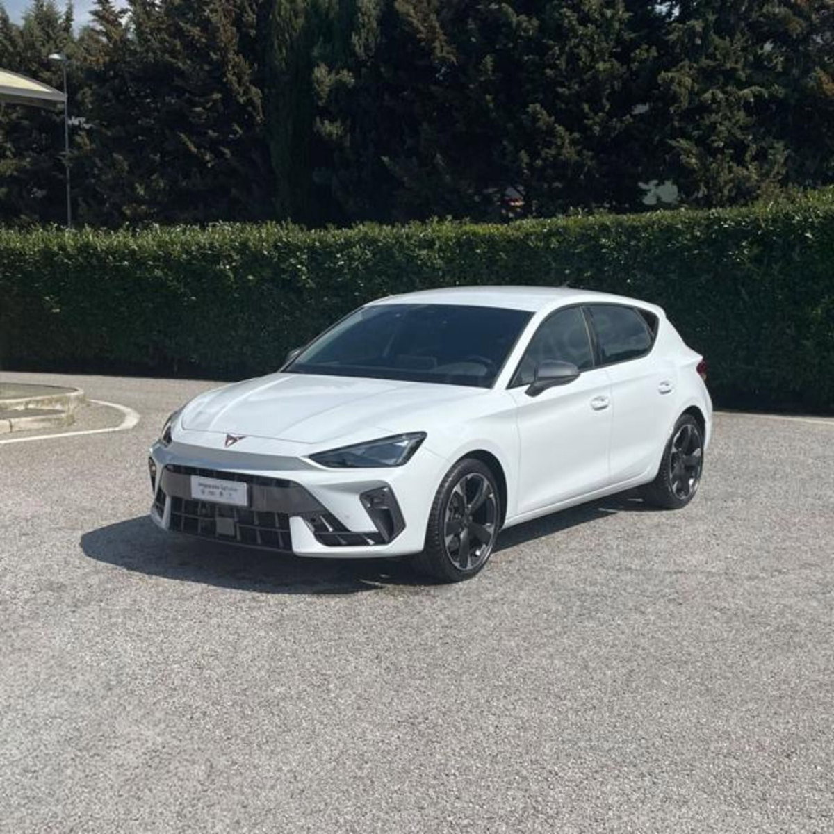 Cupra Leon Leon 2.0 tdi 150cv dsg (3)
