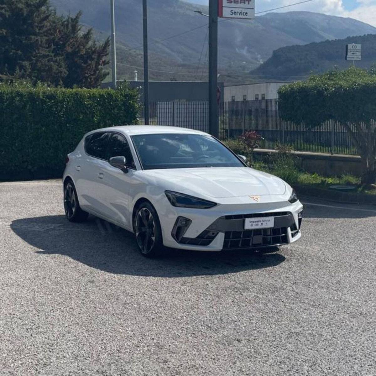 Cupra Leon Leon 2.0 tdi 150cv dsg (4)