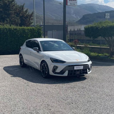 Cupra Leon Leon 2.0 tdi 150cv dsg (4)
