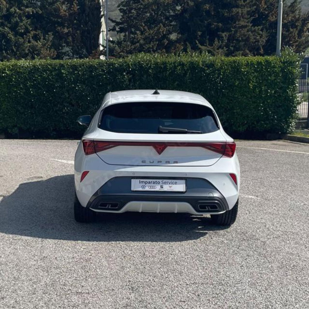 Cupra Leon Leon 2.0 tdi 150cv dsg (5)