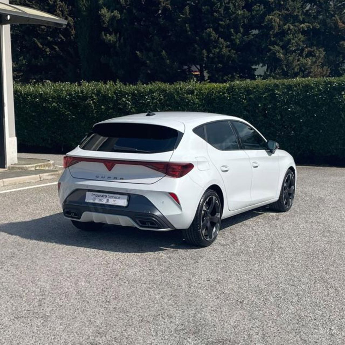 Cupra Leon Leon 2.0 tdi 150cv dsg (6)