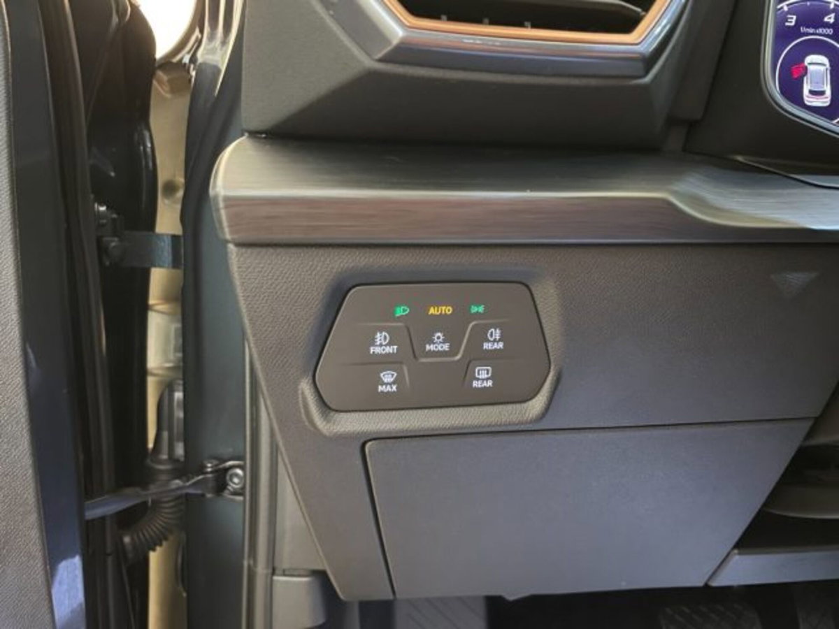 Cupra Formentor Formentor 2.0 TDI (10)