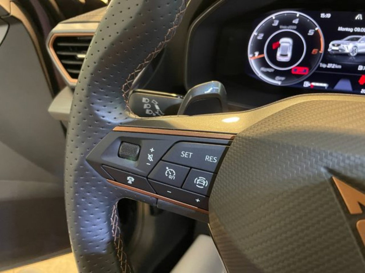 Cupra Formentor Formentor 2.0 TDI (11)