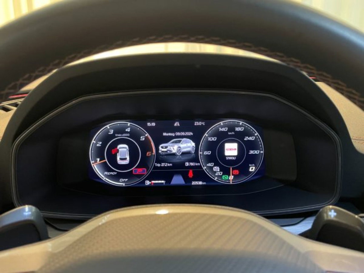 Cupra Formentor Formentor 2.0 TDI (13)