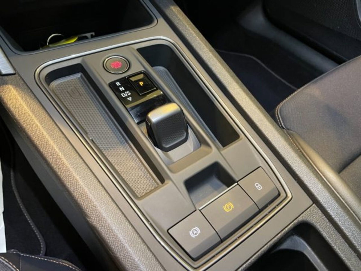 Cupra Formentor Formentor 2.0 TDI (16)