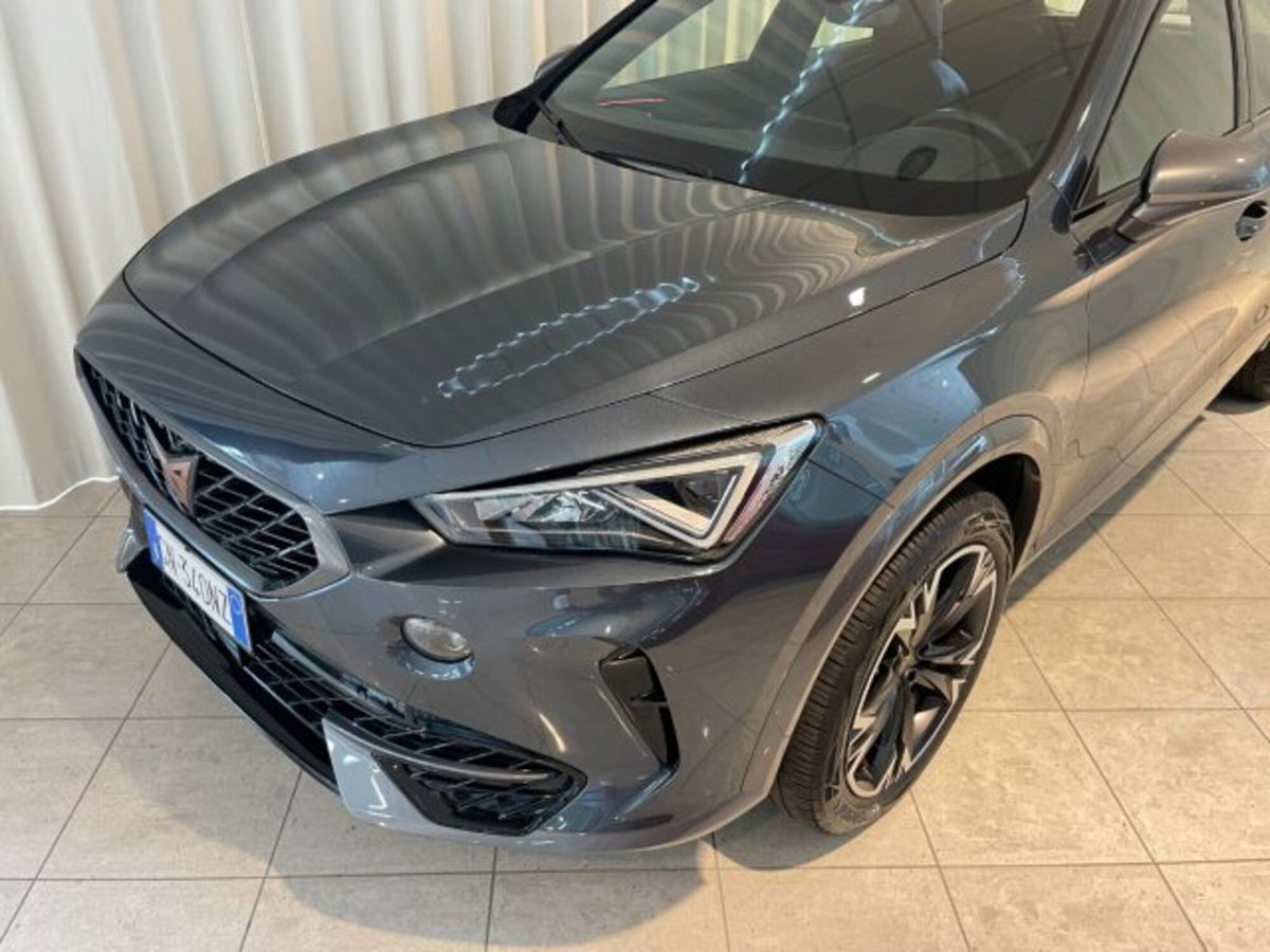 Cupra Formentor Formentor 2.0 TDI (17)