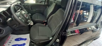 Fiat Panda 1.0 firefly hybrid s&s 70cv (5)