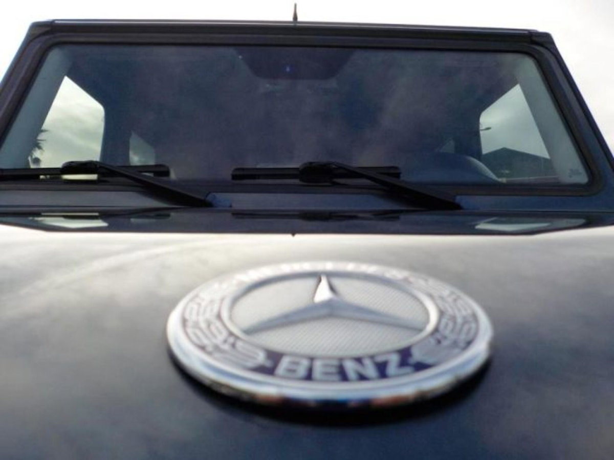 Mercedes-Benz Classe G 350 d (16)