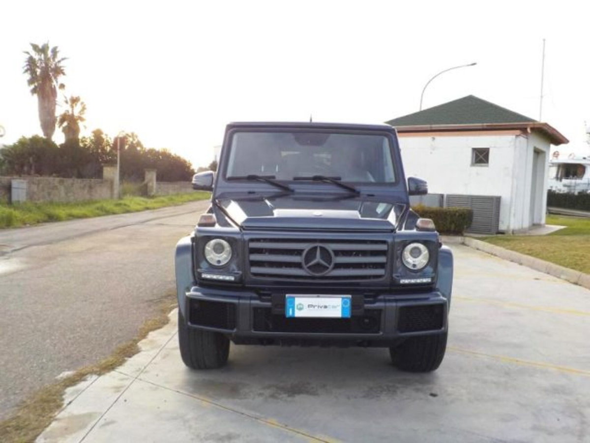 Mercedes-Benz Classe G 350 d (2)