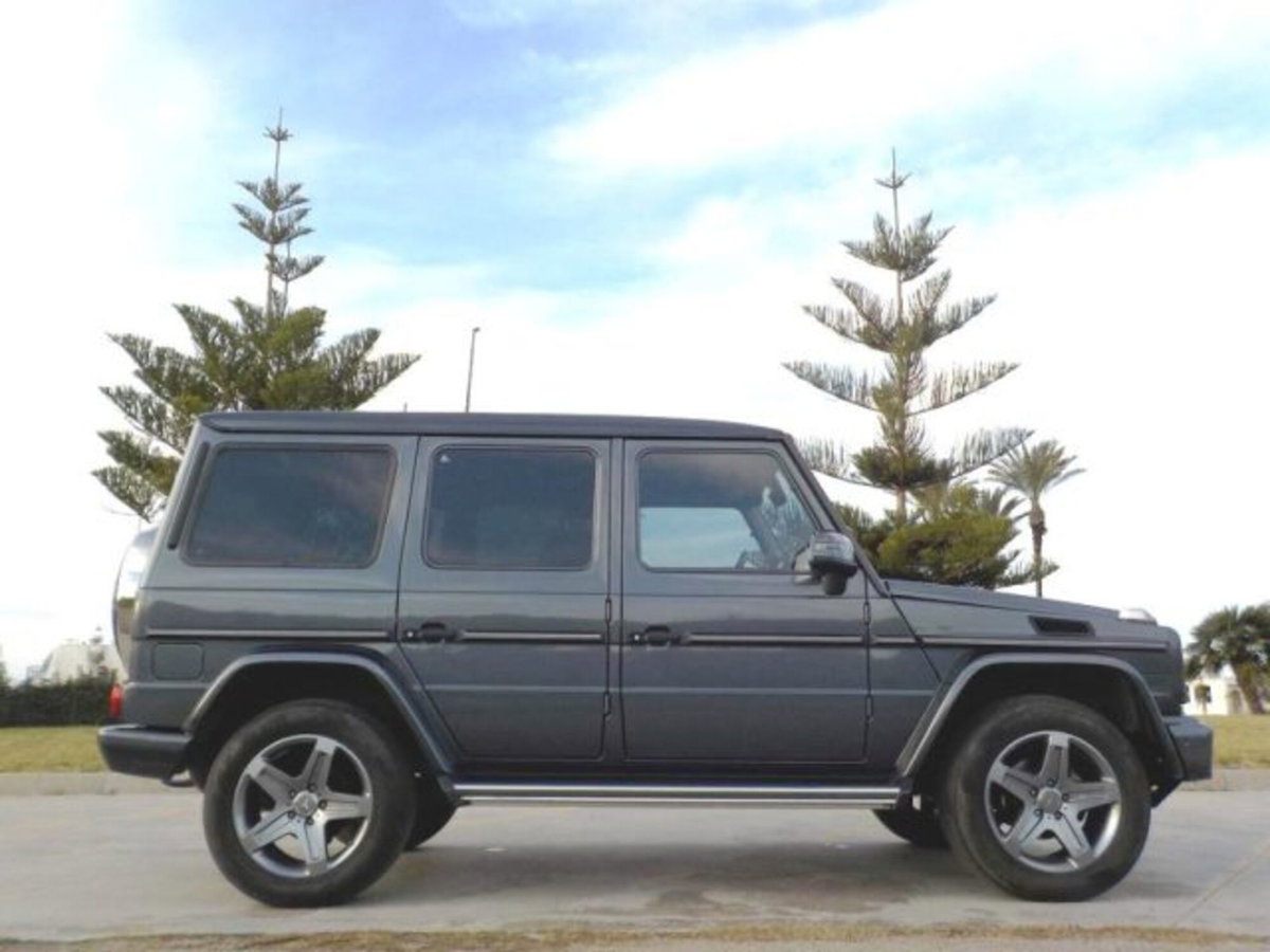 Mercedes-Benz Classe G 350 d (5)