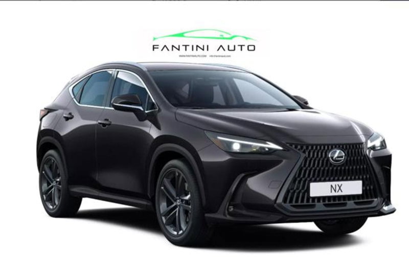 Lexus NX 450h+ 2.5 phev Premium+ 4wd e-cvt