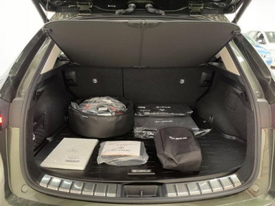 Lexus NX 2.5 phev Premium+ 4wd 292cv e-cvt (13)