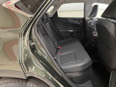Lexus NX 2.5 phev Premium+ 4wd 292cv e-cvt (15)