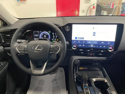 Lexus NX 2.5 phev Premium+ 4wd 292cv e-cvt (18)