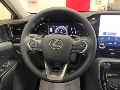 Lexus NX 2.5 phev Premium+ 4wd 292cv e-cvt (19)