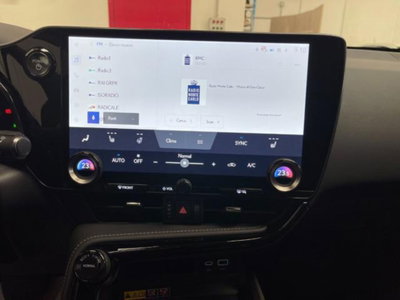 Lexus NX 2.5 phev Premium+ 4wd 292cv e-cvt (20)