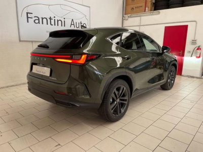 Lexus NX 2.5 phev Premium+ 4wd 292cv e-cvt (3)