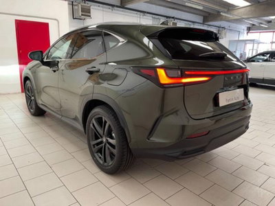 Lexus NX 2.5 phev Premium+ 4wd 292cv e-cvt (5)