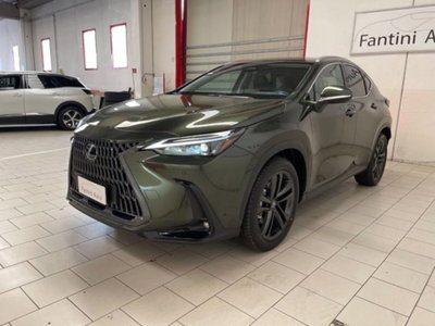 Lexus NX 2.5 phev Premium+ 4wd 292cv e-cvt (6)