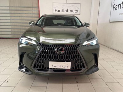 Lexus NX 2.5 phev Premium+ 4wd 292cv e-cvt (7)